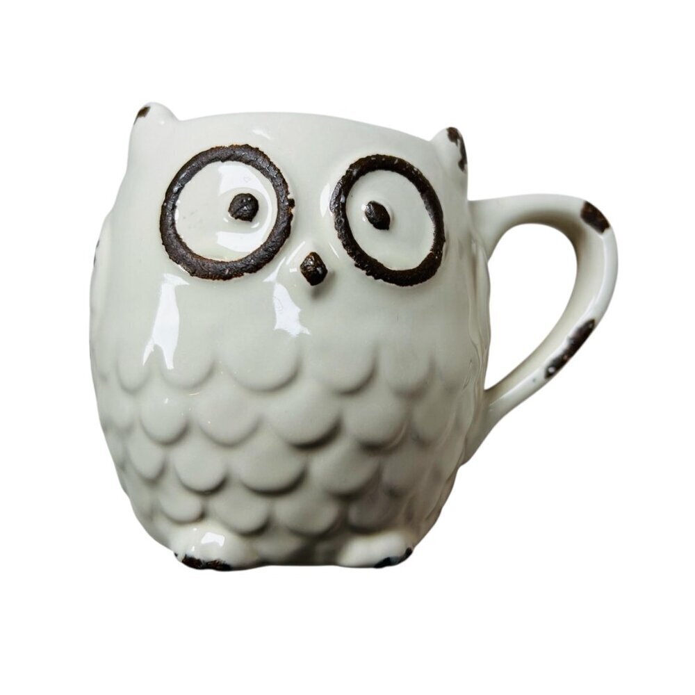 Vintage Owl Coffee Tea Mug Kitchen Drinkware Collegiate Academia